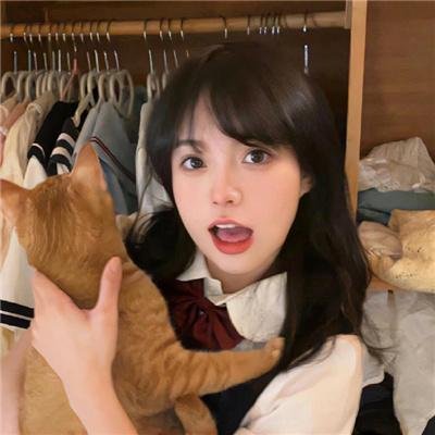 政客诚实中